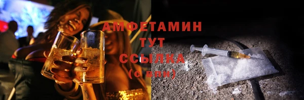 стаф Медногорск