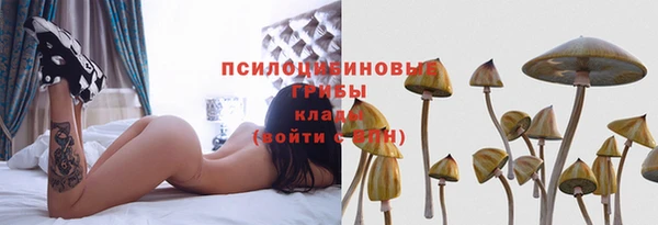 марки lsd Мегион