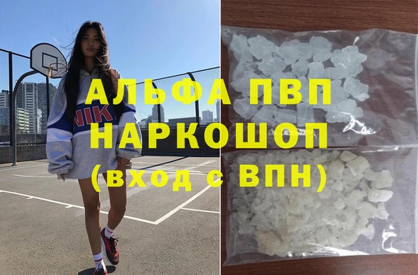 стаф Медногорск