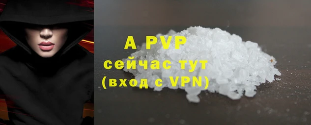 стаф Медногорск
