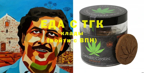 стаф Медногорск