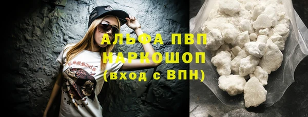 стаф Медногорск