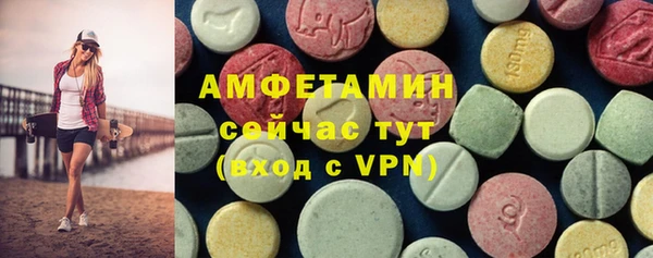 стаф Медногорск
