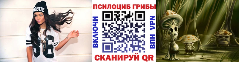 сколько стоит  Жуковский  KRAKEN как зайти  Галлюциногенные грибы мицелий 