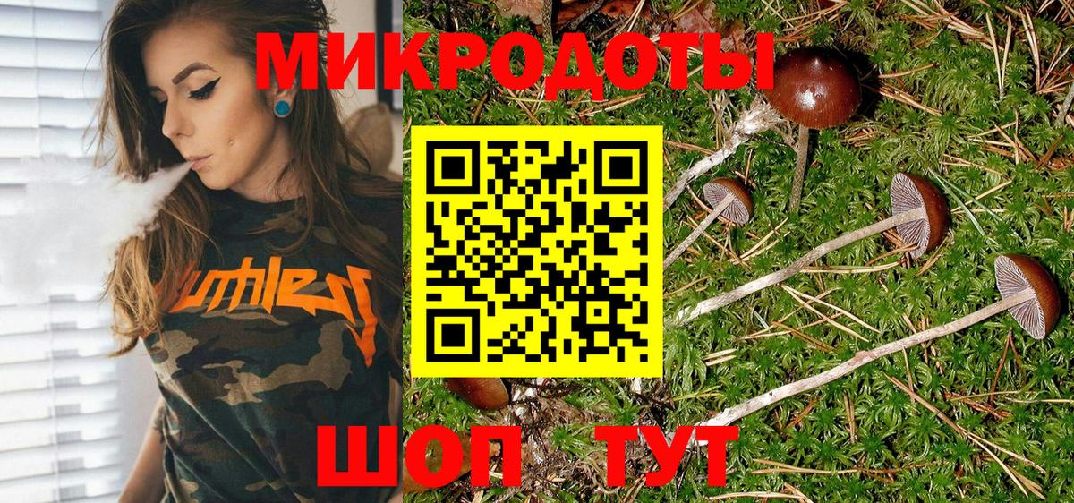 Псилоцибиновые грибы Magic Shrooms Жуковский