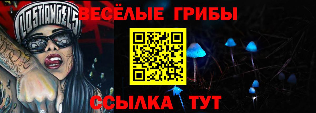 Псилоцибиновые грибы мицелий Жуковский