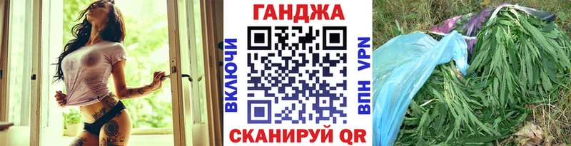 Конопля план  блэк спрут маркетплейс  Жуковский 
